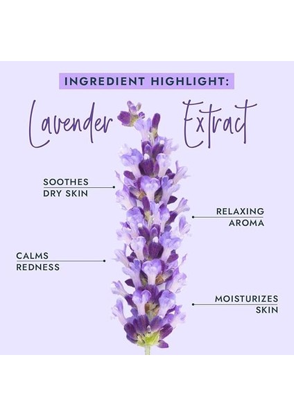 Pedi In A Box Deluxe 4 Adımlı Pedikür Seti Lavanta indirimleri