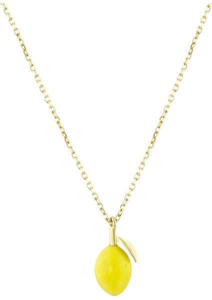 14 Ayar Limon Tasarım Altın Kolye fiyatları