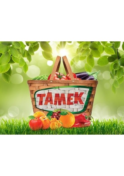 Tamek Kayısı Nektarı Lf 200 cc x 27 Adet modelleri