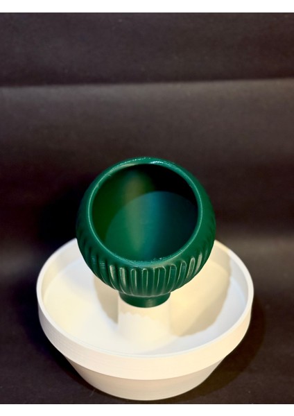 Snactüs – Kaktüs Tasarımlı Fıstık ve Kuruyemiş Kasesi (Kabuk Bölmeli) fiyatları