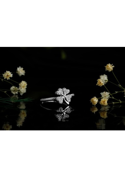 Şansın Işıltısı Yüzük