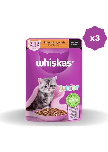 Yaş Mama Poşet Yavru Kümes 85 gr - (3 Adet)