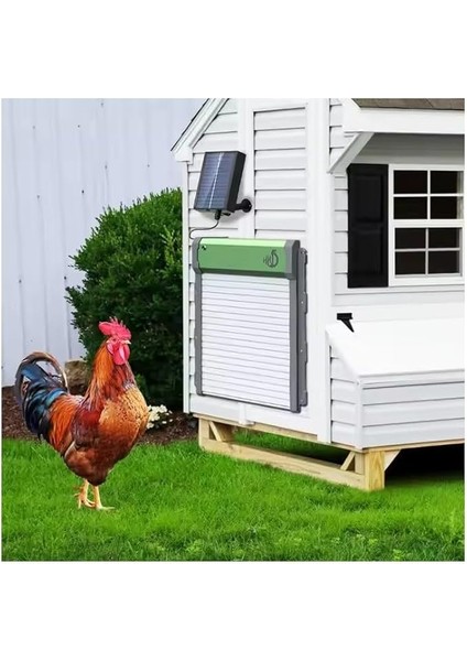 Otomatik Tavuk Kümes Kapısı