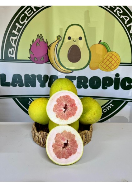 Şadok Meyvesi (Adet)