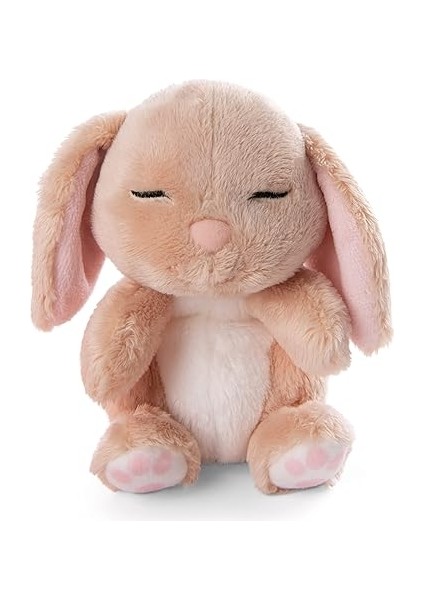 48708 Soft Toy Sleeping Pets Bunny Caramel In Peach Basket 12CM indirimleri