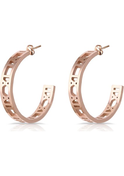 Freelook FRJ.3.5005.3 Kadın Çelik Küpe