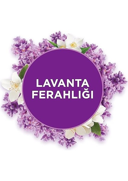 Banyo Hava Tazeleyici Cihaz ve Yedek Lavanta Ferahlığı 10 ml fiyatları
