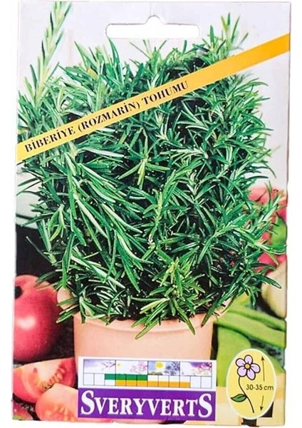 Biberiye Rozmarin Tohumu