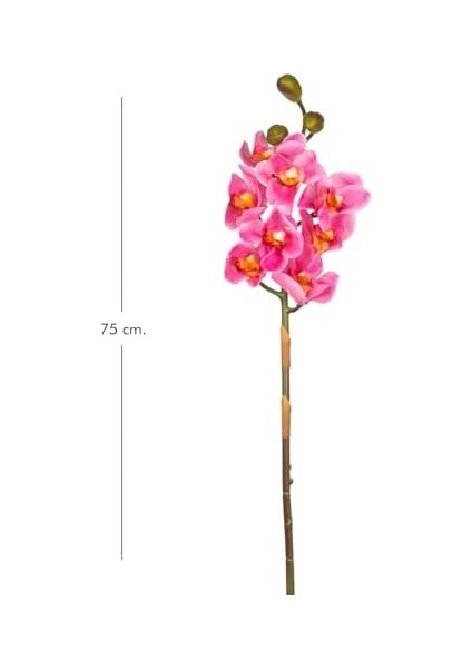 Yapay Orkide Gerçek Dokulu Pembe 75 Cm. fiyatları