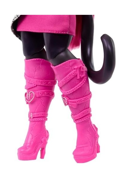 Acayip Havalı Arkadaşlar - Catty Noir, 3y+, HXH76 modelleri