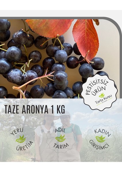 Taze Aronya Meyvesi 1 kg (Tarla Kuşu, Ilaçsız, Doğal Üretim, Yeni Hasat)