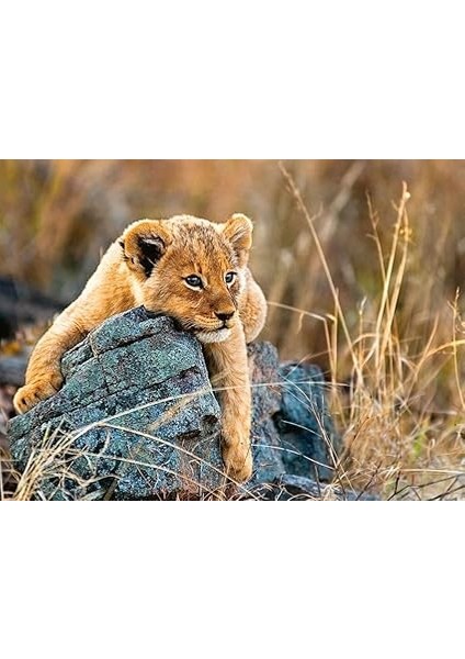 200P Puzzle Aslancık fiyatları