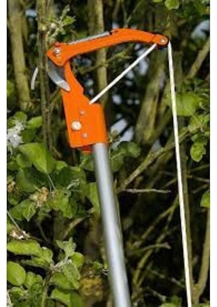 Yüksek Agaç Tepe Dal Ağaç Kesme Budama Makası Bağ Testere Seti Mekanik Bahçe Aleti Ipli fiyatları