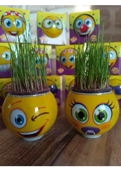 Çimoji 40'lı Tek Tek Kutulu Eğitici Hediyelik Oyuncak Çimadam Çimoji