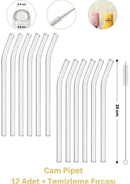 12'li Cam Pipet ve Pipet Temizleme Fırçası, Kalın Cam Pipet