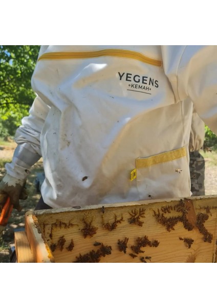 400 gr Hakiki Petekli Çiçek Balı | TA17.5+ | 900 Prolin | Erzincan - Kemah | Doğal Petekli Çiçek Balı indirimleri