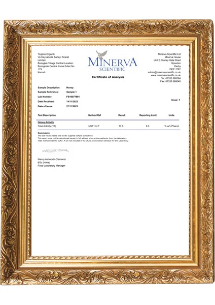 400 gr Hakiki Petekli Çiçek Balı | TA17.5+ | 900 Prolin | Erzincan - Kemah | Doğal Petekli Çiçek Balı