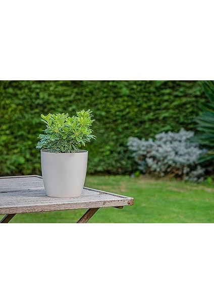 YK01 Yakut Saksı No:1 Drenaj Aparatı ile Birlikte 11CM, 0,68 Litre Kirli Beyaz modelleri