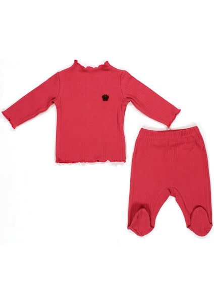 Kız Bebek Takım 1-3/3-6/6-9 Ay