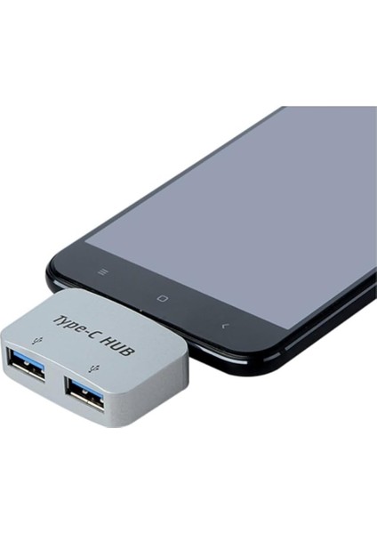 4493 Type-C To USB 3.0 2 Port Hub 3.1 Dönüştürücü fiyatları