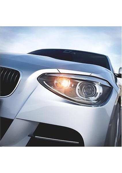 T10 WY5W 12V 5W Dipsiz Krom Diadem fiyatları