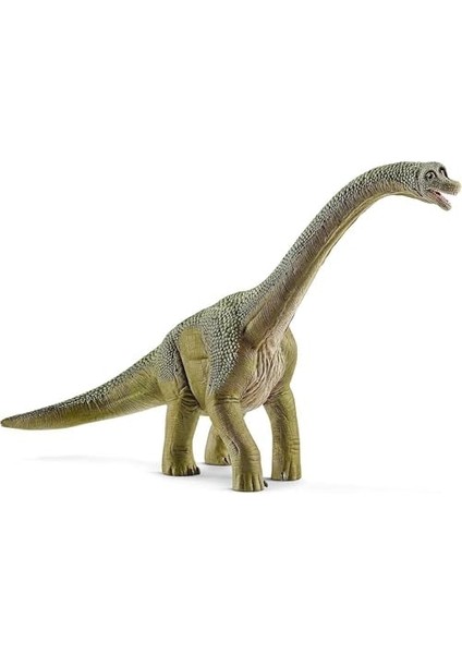 Brachiosaurus fiyatları