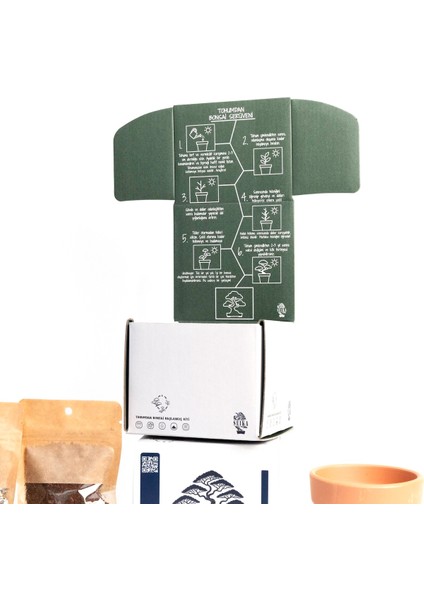 Tohumdan Bonsai Başlangıç Kiti - Dişbudak Yapraklı Akçaağaç fırsatları