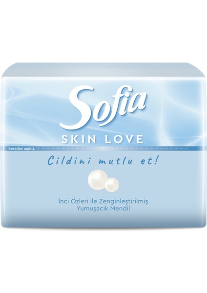 Skin Love Mini Mendil 75'li 2 Adet