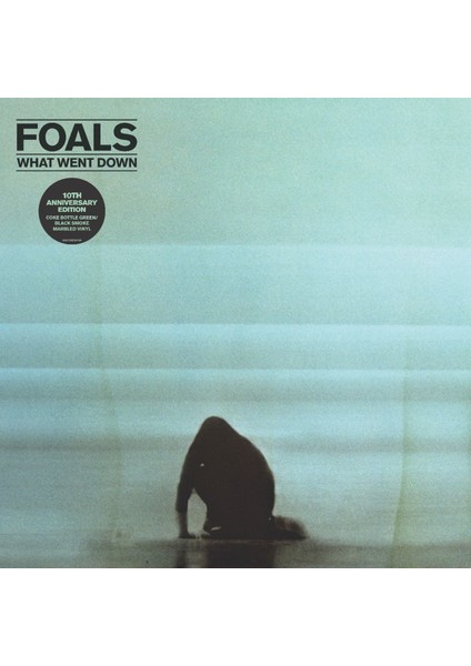 Foals - What Went Down (10TH Anniversary) (Limited Edition) (Coke Bottle Green W Black Smoke Marble Vinyl) - Plak fiyatları