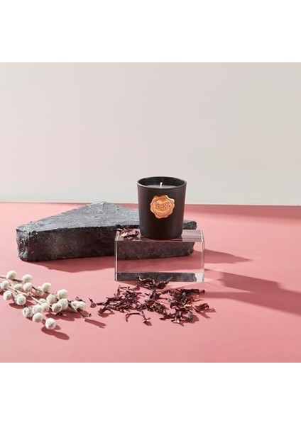 Kokulu Mumlu Mumluk Ambre fiyatları