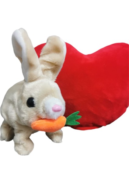 Kulakları Işıklı Zıplayan Tavşan, Pilli Sevimli Oyuncak Peluş Tavşan 18X17 cm modelleri