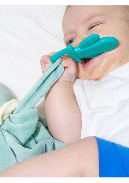 Diş Kaşıyıcılı Uykucu Ayıcık Yeşil indirimleri