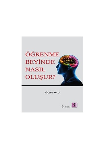 Öğrenme Beyinde Nasıl Oluşur?