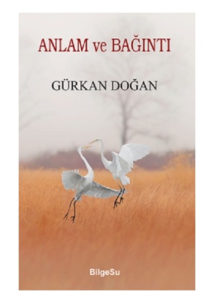 Anlam ve Bağıntı