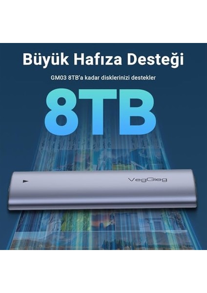 10GBPS USB 3.1 Gen2 M.2 Sata Ngff Nvme SSD Disk Kutusu modelleri
