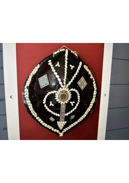 Caretta Caretta Kabuğu Duvar Süsü 37 cm 34 cm Ölçülerinde fiyatları