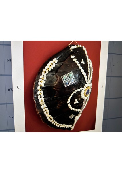 Caretta Caretta Kabuğu Duvar Süsü 37 cm 34 cm Ölçülerinde