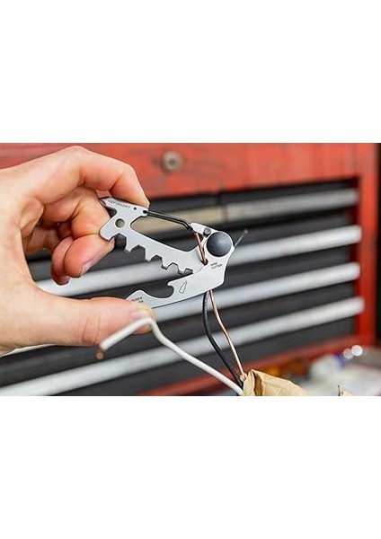 Çok Amaçlı - Raptor modelleri