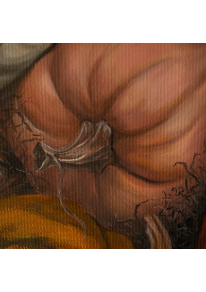 Sonbahar Motifleri fırsatları