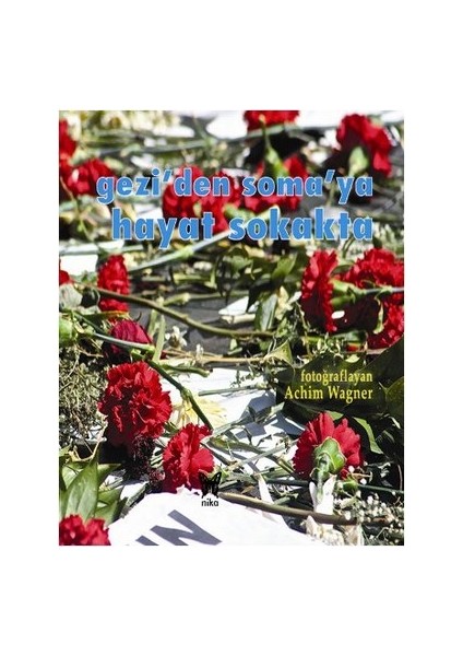 Gezi'den Soma'ya Hayat Sokakta