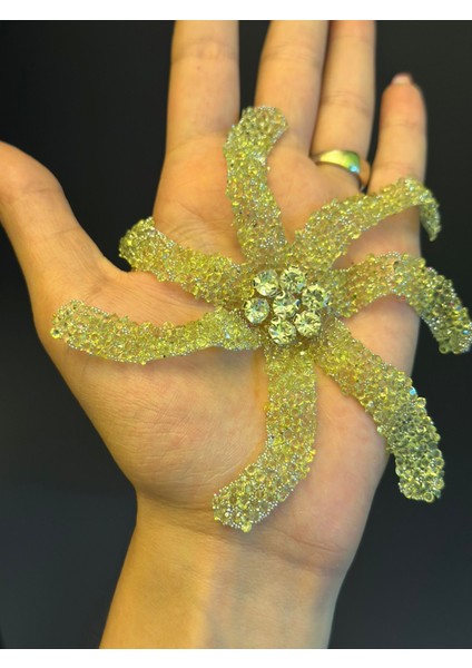 Ütü Ile Yapışan Taşlı Ahtapot Arma Dikiş Aplike 12X12 cm fiyatları