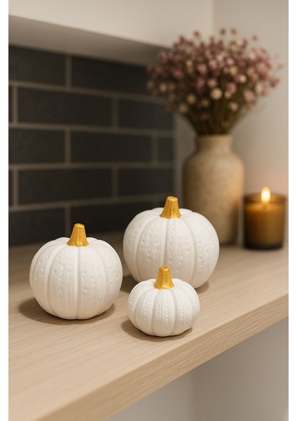 Modern Ev Dekorasyonu Kabak Seti (3’lü, Beyaz-Altın) fiyatları