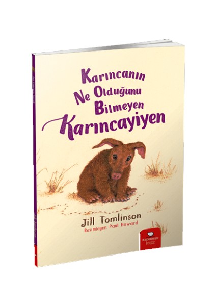 Karıncanın Ne Olduğunu Bilmeyen Karıncayiyen