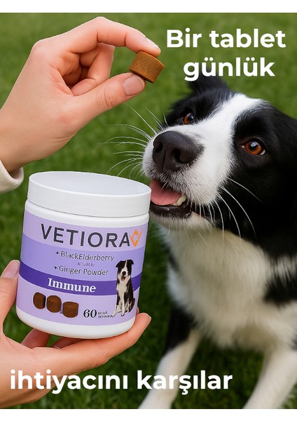Köpekler İçin Sindirim ve Bağışıklık Sistemi Güçlendirici Immune. Keçi Boynuzu, Kara Mürver Özü, Çörek Otu, Tarçın ve Zencefilli, Ödül Formunda, 60 Adet, 150 gr modelleri