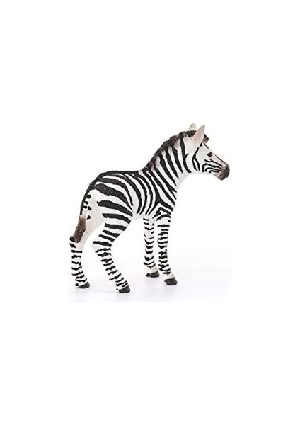 Life-Yavru Zebra fiyatları