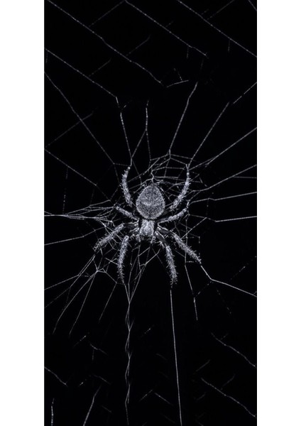 Örümcek Kapı Direk Kaplama Folyosu Baskılı Sticker Sağ-Sol 2 Adet 22*50 cm