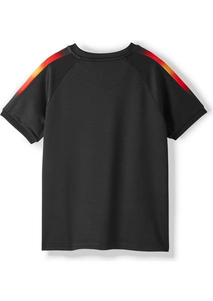 Galatasaray Match Day Aslanlı T-Shirt C251318 fiyatları