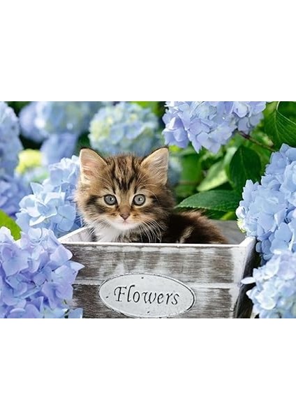 128945 Kedicik Puzzle, 300 Parça, Çok Renkli fiyatları