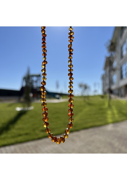 Kehribar Bebek Diş Kolyesi 33 cm TKY0412 fiyatları