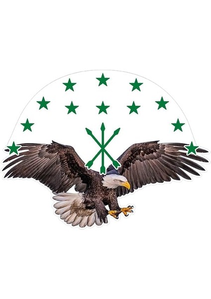Adige Bayrak Kartal Color Sticker Etiket 14X10 cm